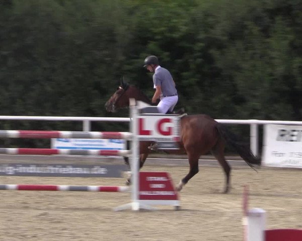 Reitturnier Haren 2018