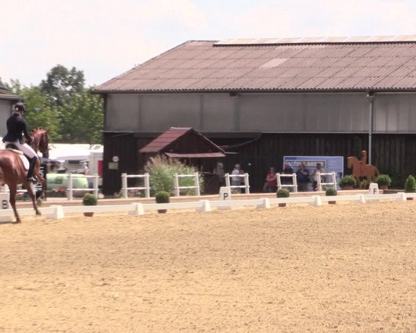 Steinhagener Reitertage 2018