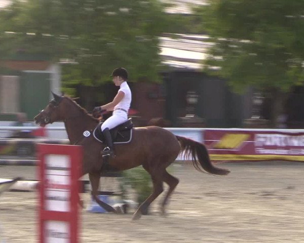 Reitturnier Haren 2018
