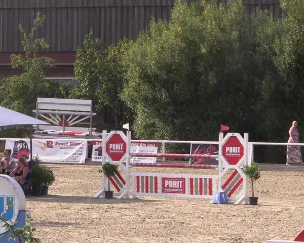 Reitturnier Haren 2018