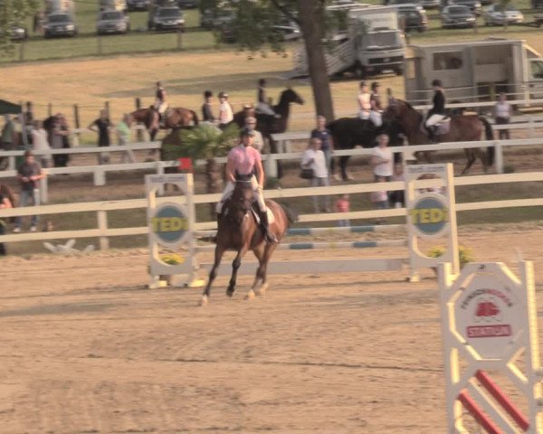 Reitturnier Letmathe 2018