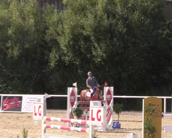 Reitturnier Haren 2018
