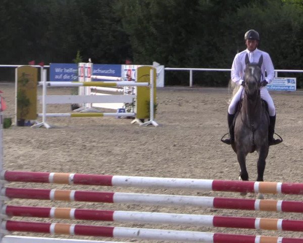 Reitturnier Haren 2018