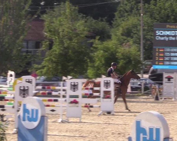 Reitturnier Haren 2018