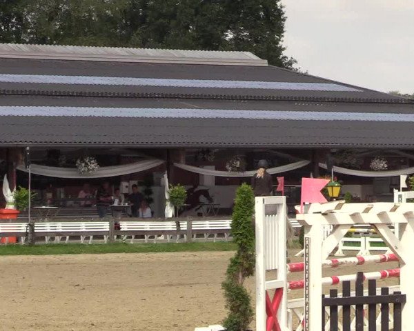 Reitturnier Münster-Roxel 2018