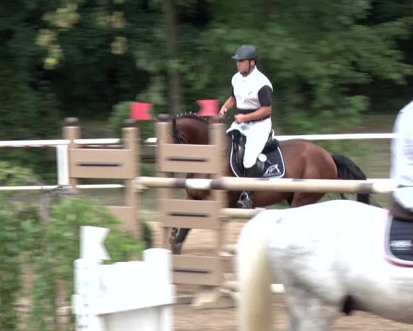 Reitturnier Prussendorf 2018