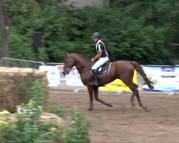 Reitturnier Prussendorf 2018