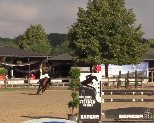Reitturnier Münster-Roxel 2018