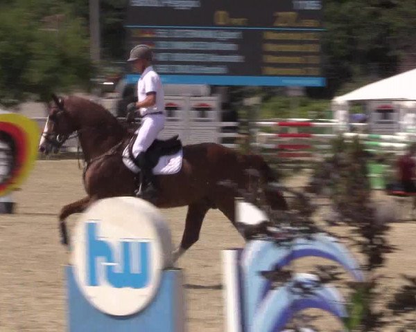 Reitturnier Haren 2018