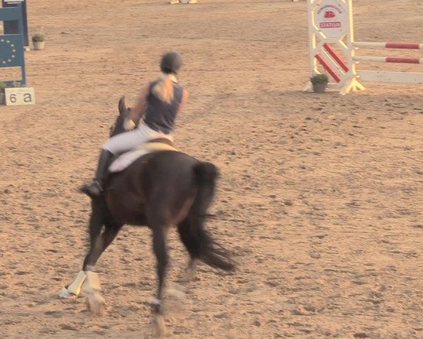 Reitturnier Letmathe 2018