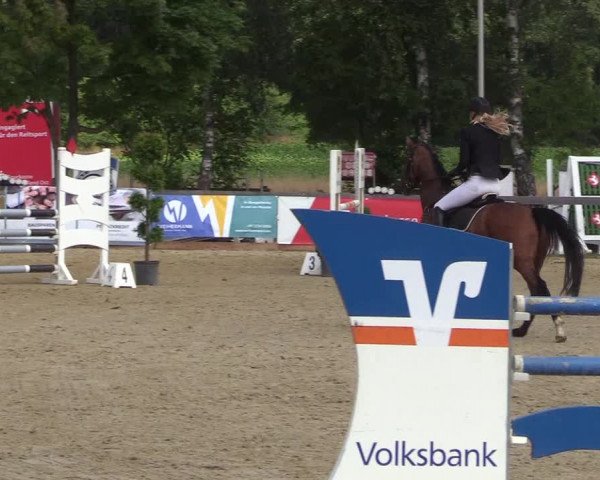 Reitturnier Münster-Roxel 2018