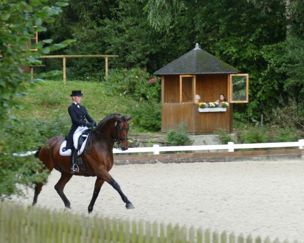 Dressurpferd Lanagen (Rheinländer, 2004, von Lord Loxley I)