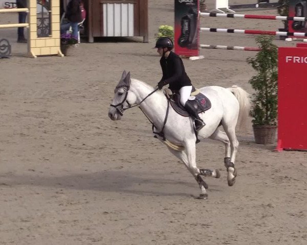 Reitturnier Westergellersen 2021