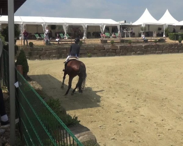 Reitturnier Lindlar-Süttenbach 2018