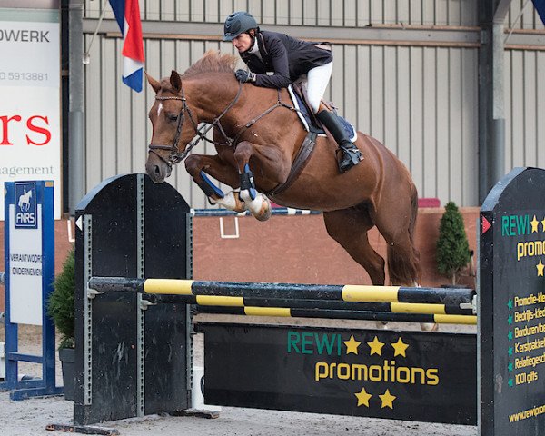 broodmare Fanola (KWPN (Royal Dutch Sporthorse), 2010, from Zapatero VDL)
