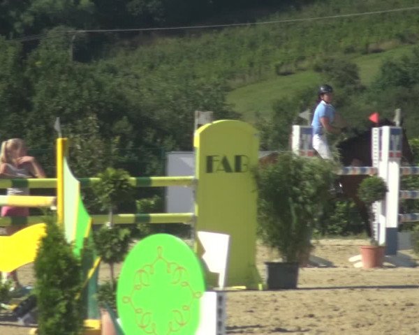 Reitturnier Lindlar-Süttenbach 2018