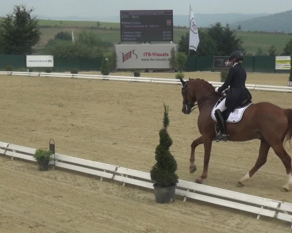 Reitturnier Lindlar-Süttenbach 2018