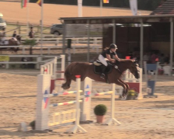 Reitturnier Letmathe 2018