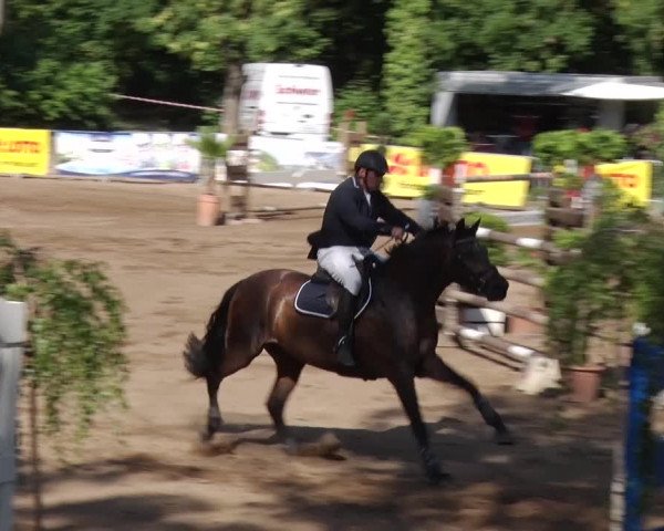 Reitturnier Prussendorf 2018