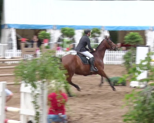 Reitturnier Prussendorf 2018