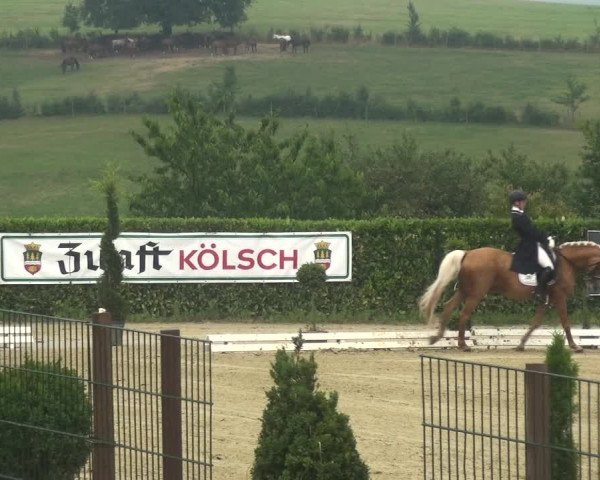 Reitturnier Lindlar-Süttenbach 2018