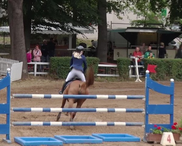 Reitturnier Prussendorf 2018