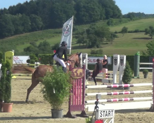 Reitturnier Lindlar-Süttenbach 2018