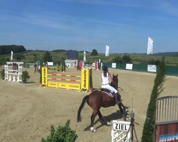 Reitturnier Lindlar-Süttenbach 2018