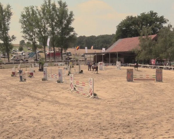 Reitturnier Letmathe 2018