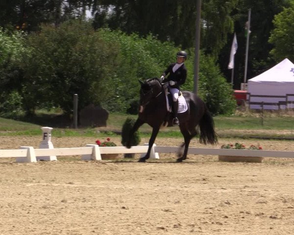 Reitturnier Münster-Roxel 2018