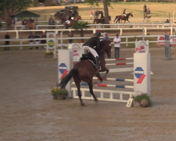 Reitturnier Letmathe 2018