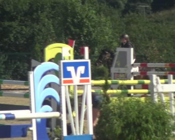 Reitturnier Lindlar-Süttenbach 2018