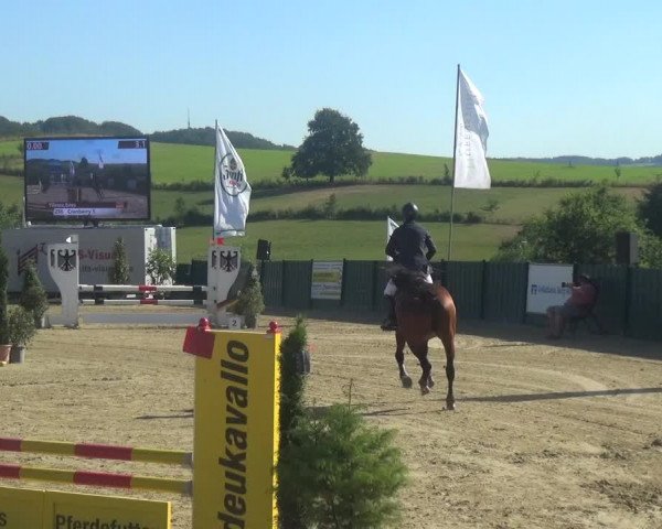 Reitturnier Lindlar-Süttenbach 2018