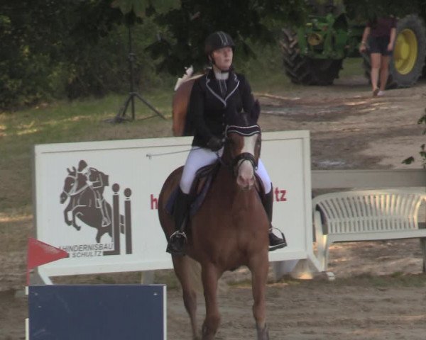 Reitturnier Letmathe 2018