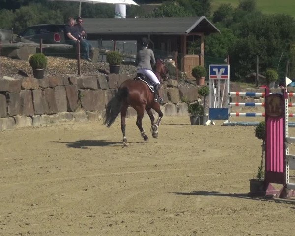 Reitturnier Lindlar-Süttenbach 2018