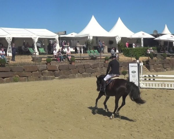 Reitturnier Lindlar-Süttenbach 2018