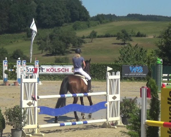 Reitturnier Lindlar-Süttenbach 2018