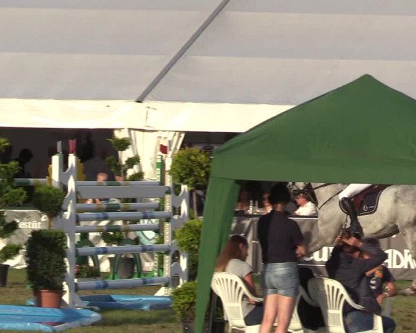 Steinhagener Reitertage 2018