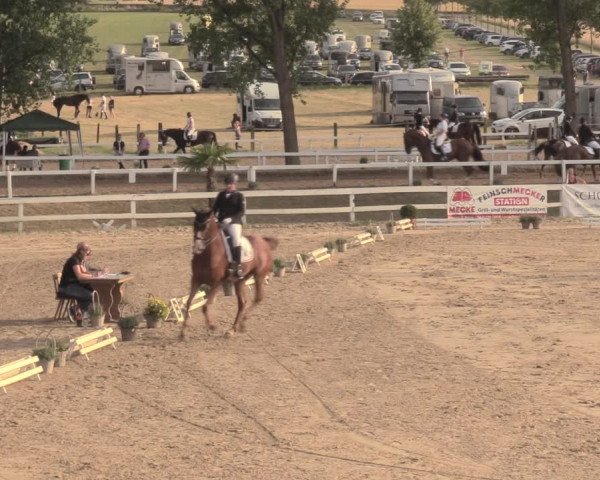 Reitturnier Letmathe 2018