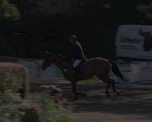 Reitturnier Prussendorf 2018