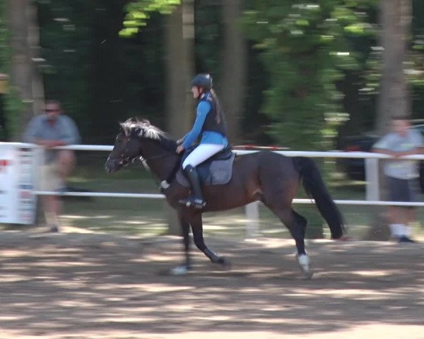 Reitturnier Prussendorf 2018