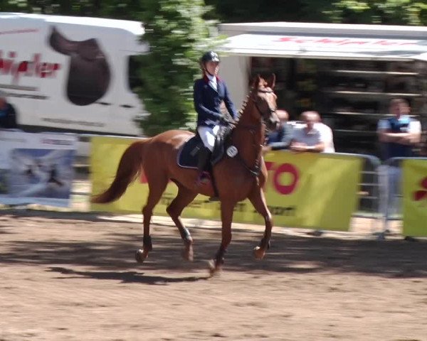 Reitturnier Prussendorf 2018