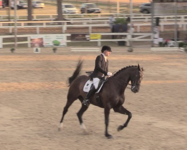 Reitturnier Letmathe 2018