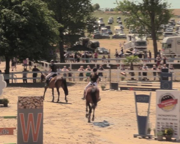 Reitturnier Letmathe 2018
