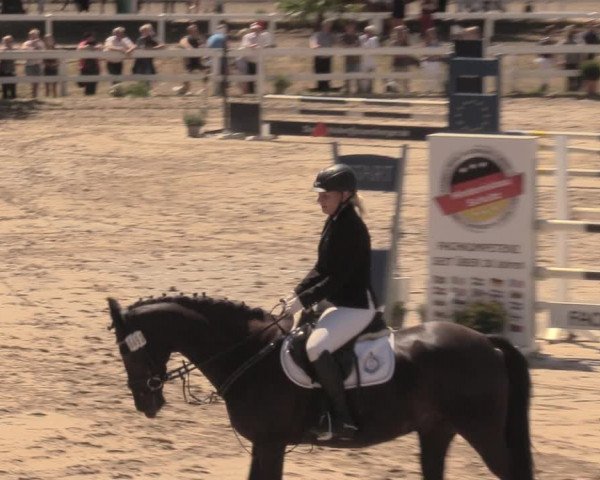 Reitturnier Letmathe 2018