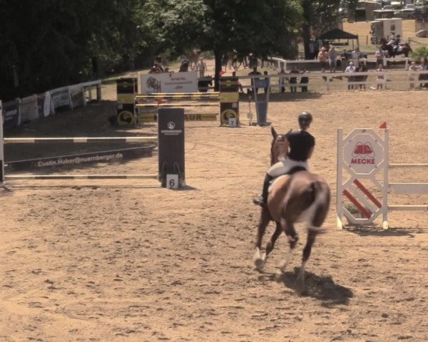 Reitturnier Letmathe 2018