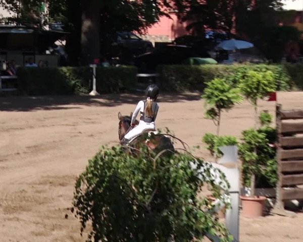 Reitturnier Prussendorf 2018
