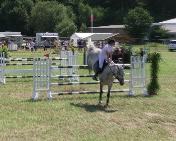 Reitturnier Hanerau-Hademarschen 2018