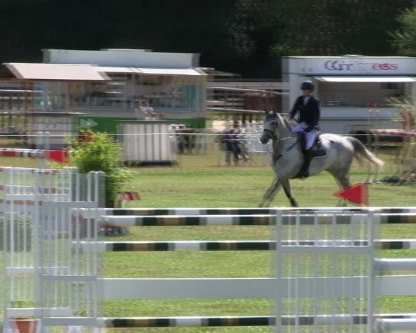 Reitturnier Hanerau-Hademarschen 2018