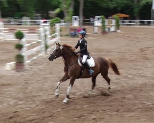 Reitturnier Prussendorf 2018